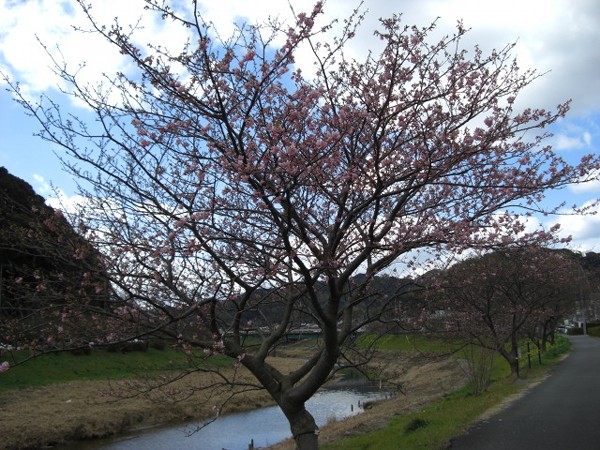 20100123-CIMG2184.JPG
