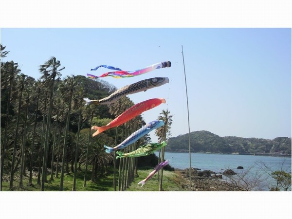 2012鯉のぼり
