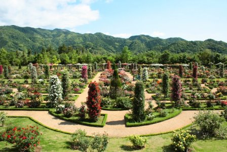 河津バガテル公園