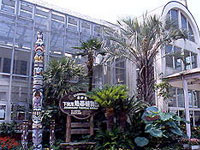 下賀茂熱帯植物園