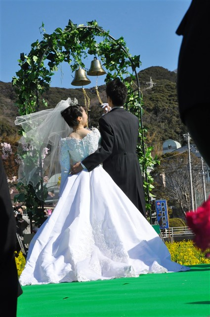 菜の花結婚式南伊豆